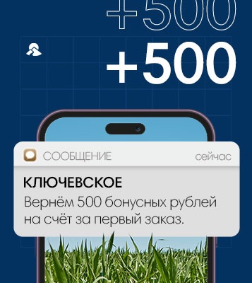 Новинки